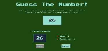 Number Guessing Game